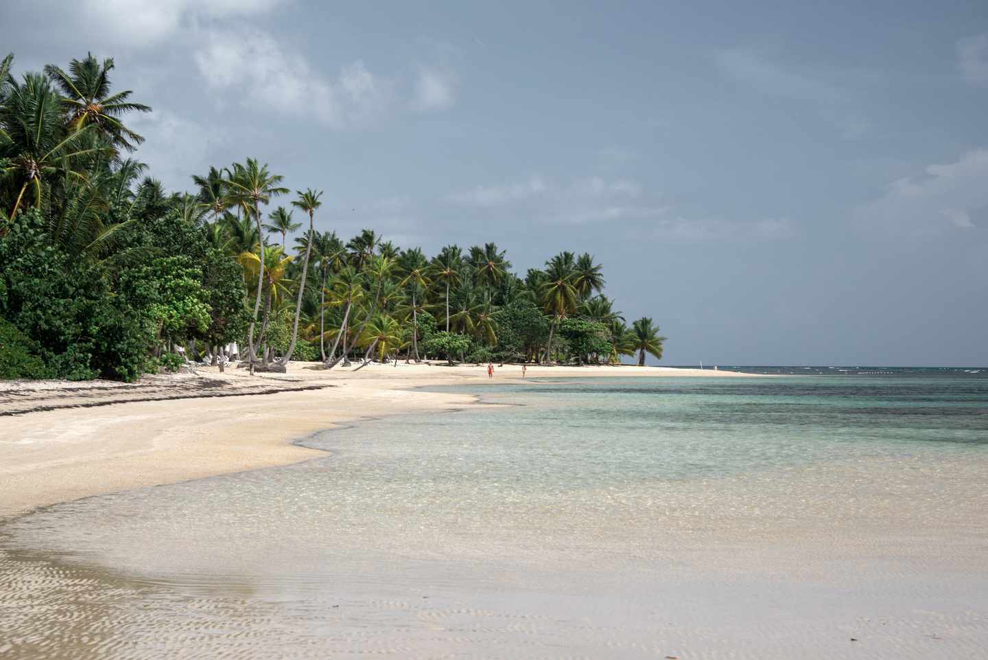 Dominikanische-Republik-Samana-Las-Terrenas-Strand-mit-Palmen-g-1384172564.jpg