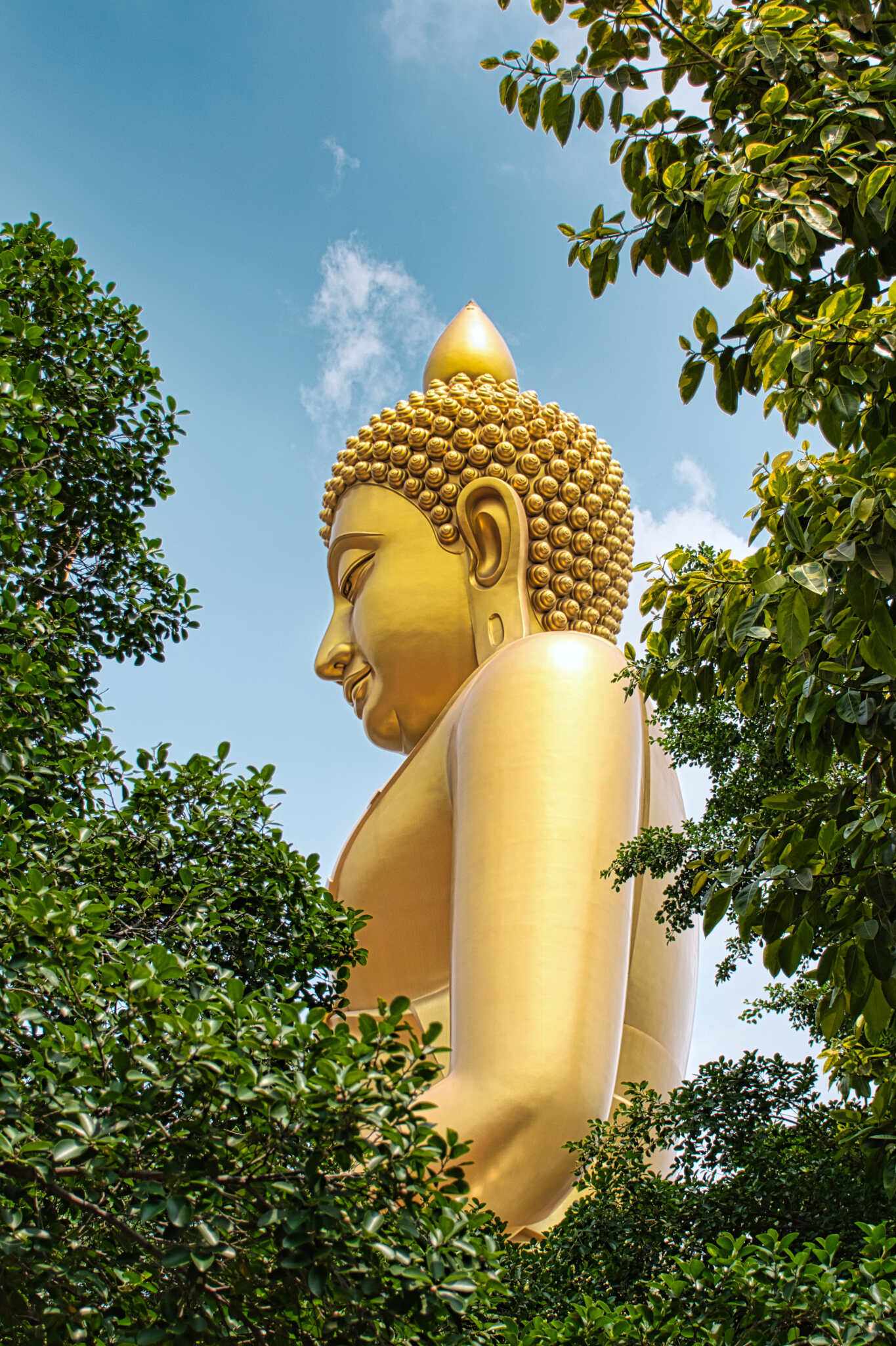 thailand-bangkok-wat-paknam-bhasicharoen-tempel-riesige-buddha-statue-g-1333411222.jpg
