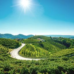 Urlaub in Venetien