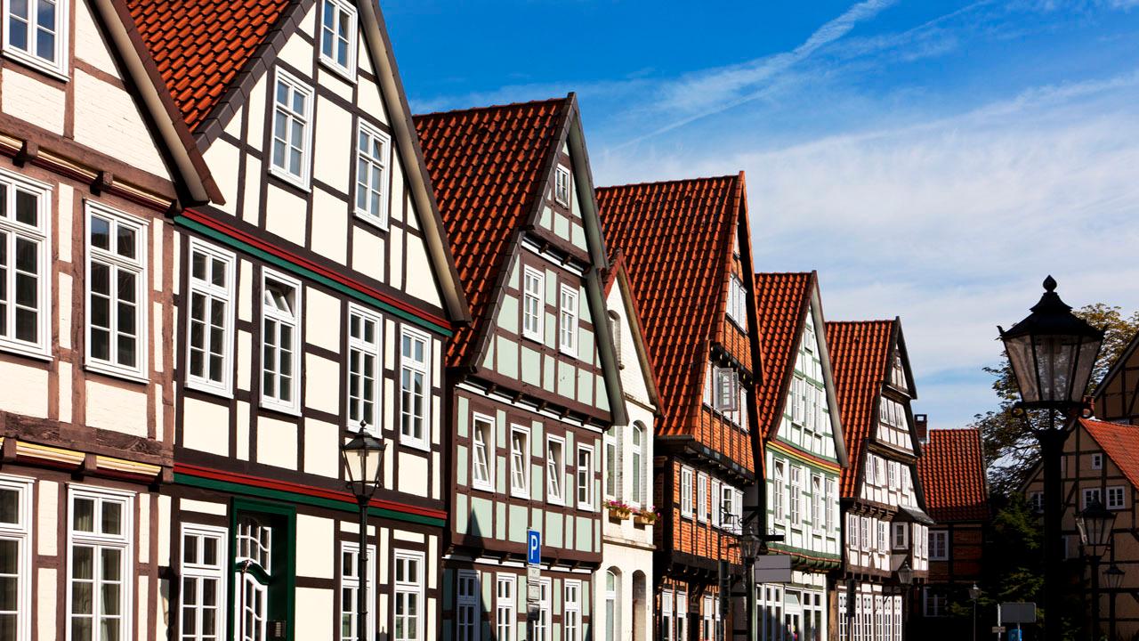 celle-fachwerkhaeuser-t-177421582.jpg