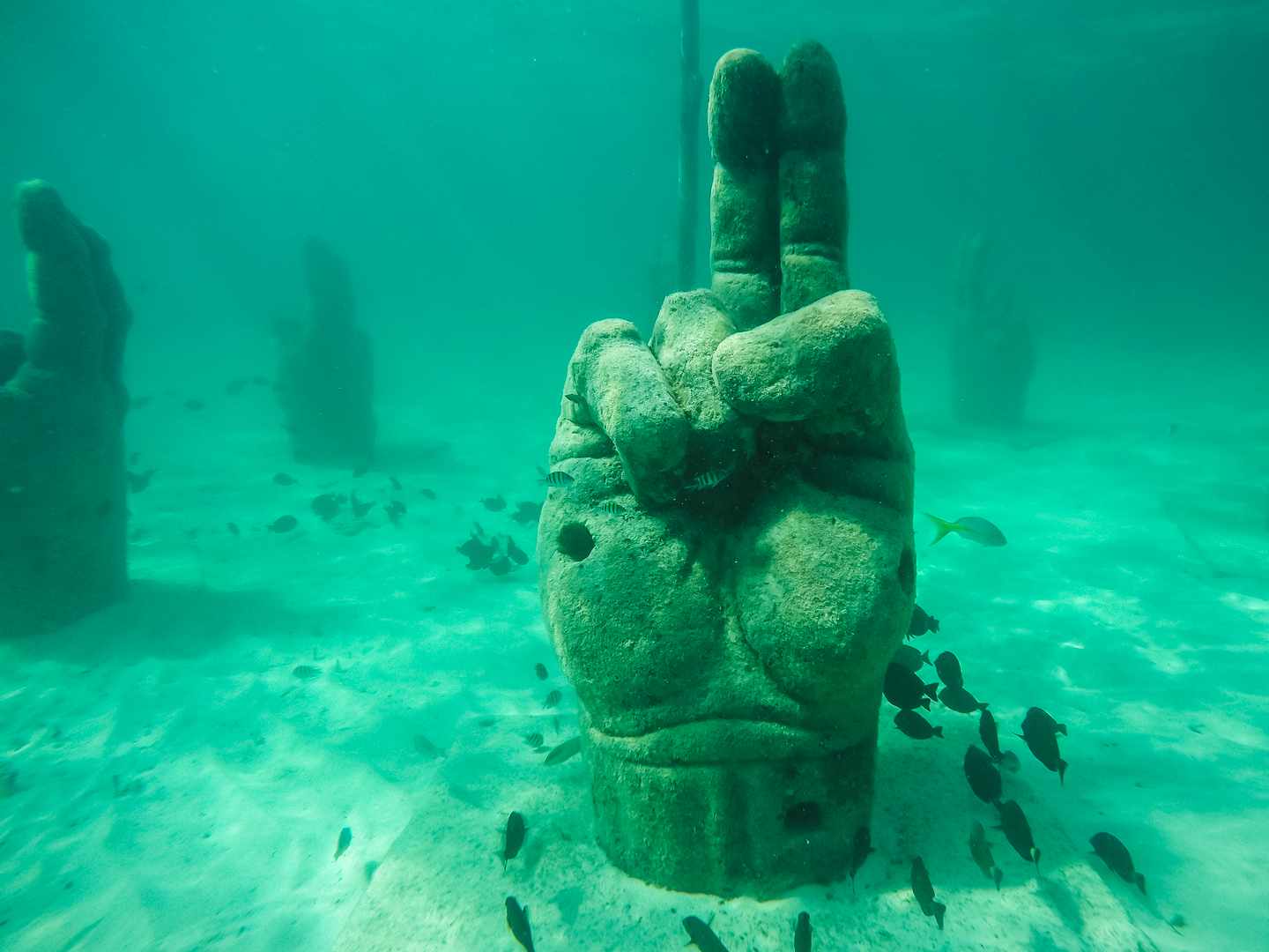 GettyImages-982735820.jpg unter Wasser platzierte Steinhand, um beim Schnorcheln vor der Küste Fische anzulocken