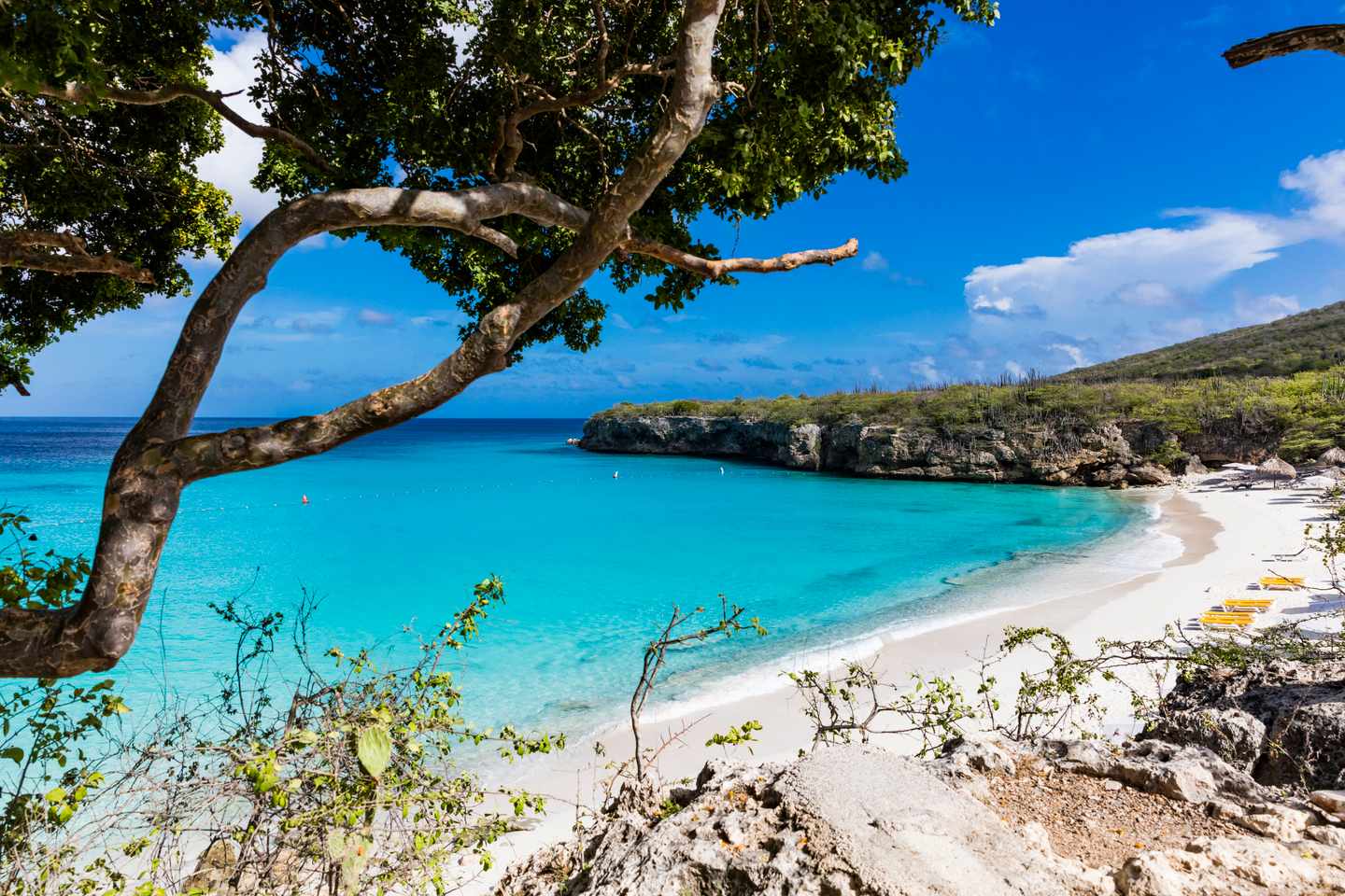 curacao-strand-grote-knip-g-1128862307.jpg