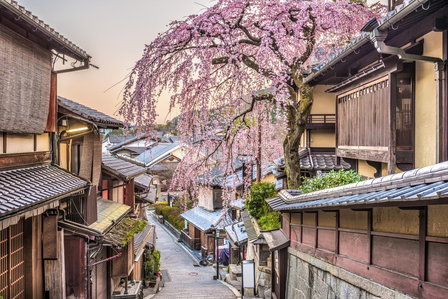 japan-kyoto-higashiyama-district-g-902966276.jpg