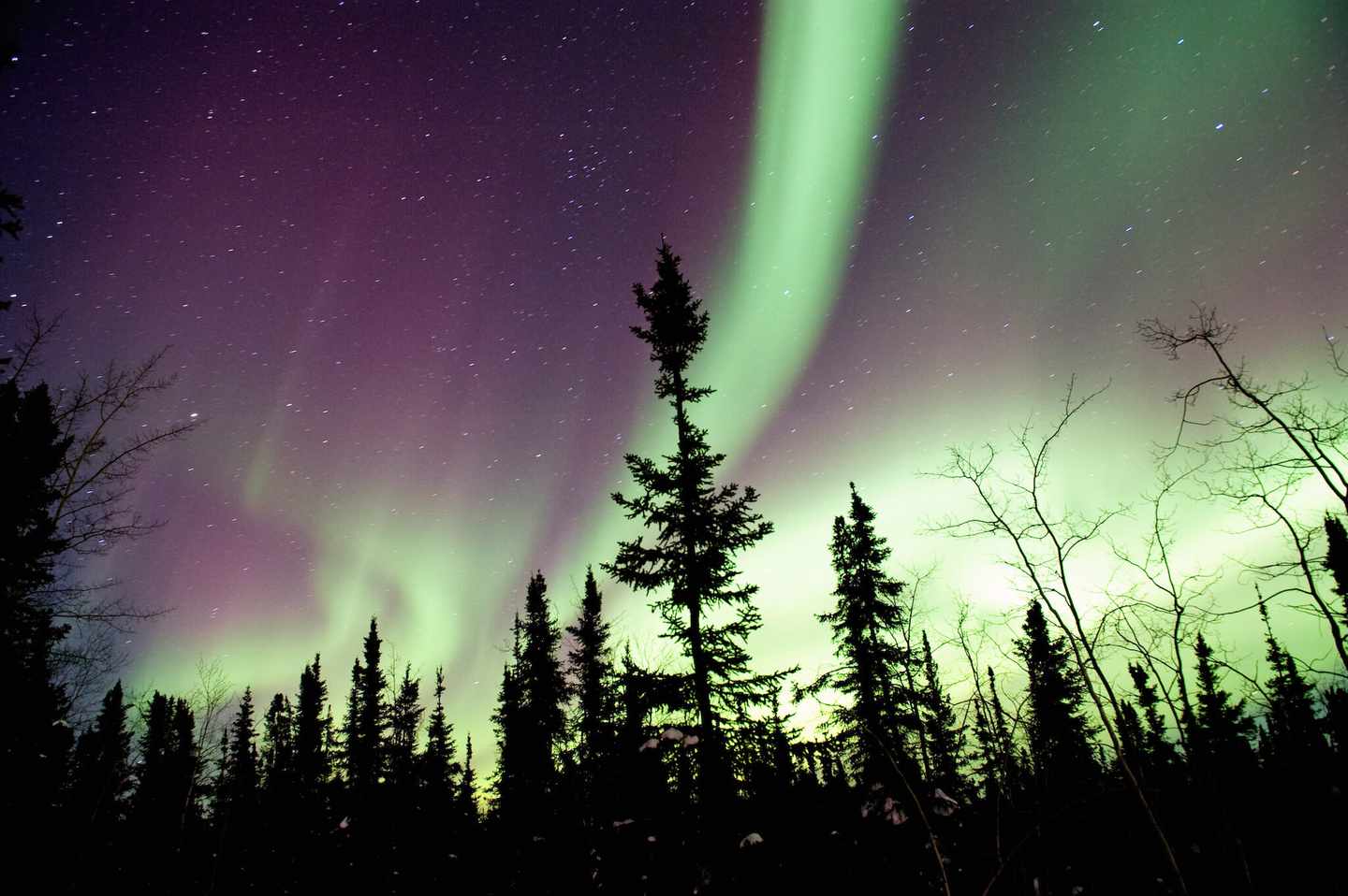 blt8fca19efd4adabea-kanada-british-columbia-northern-lights-g-518681799.jpg Nordlichter schillern in den unterschiedlichsten Farben