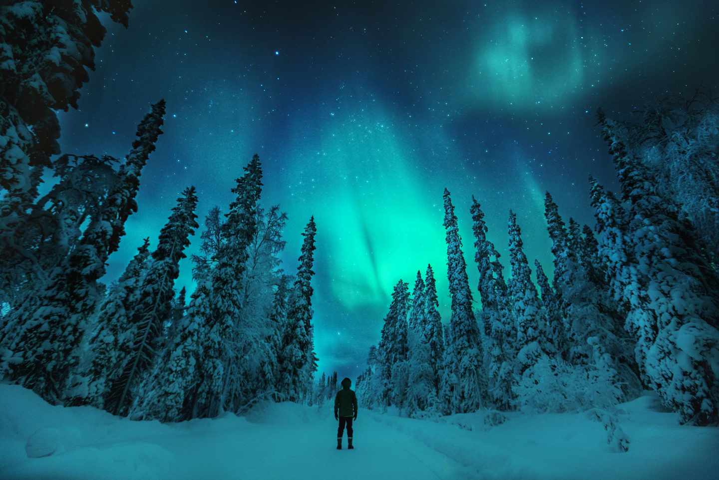 finnland-lappland-f-natalie-mendetzki.jpg
