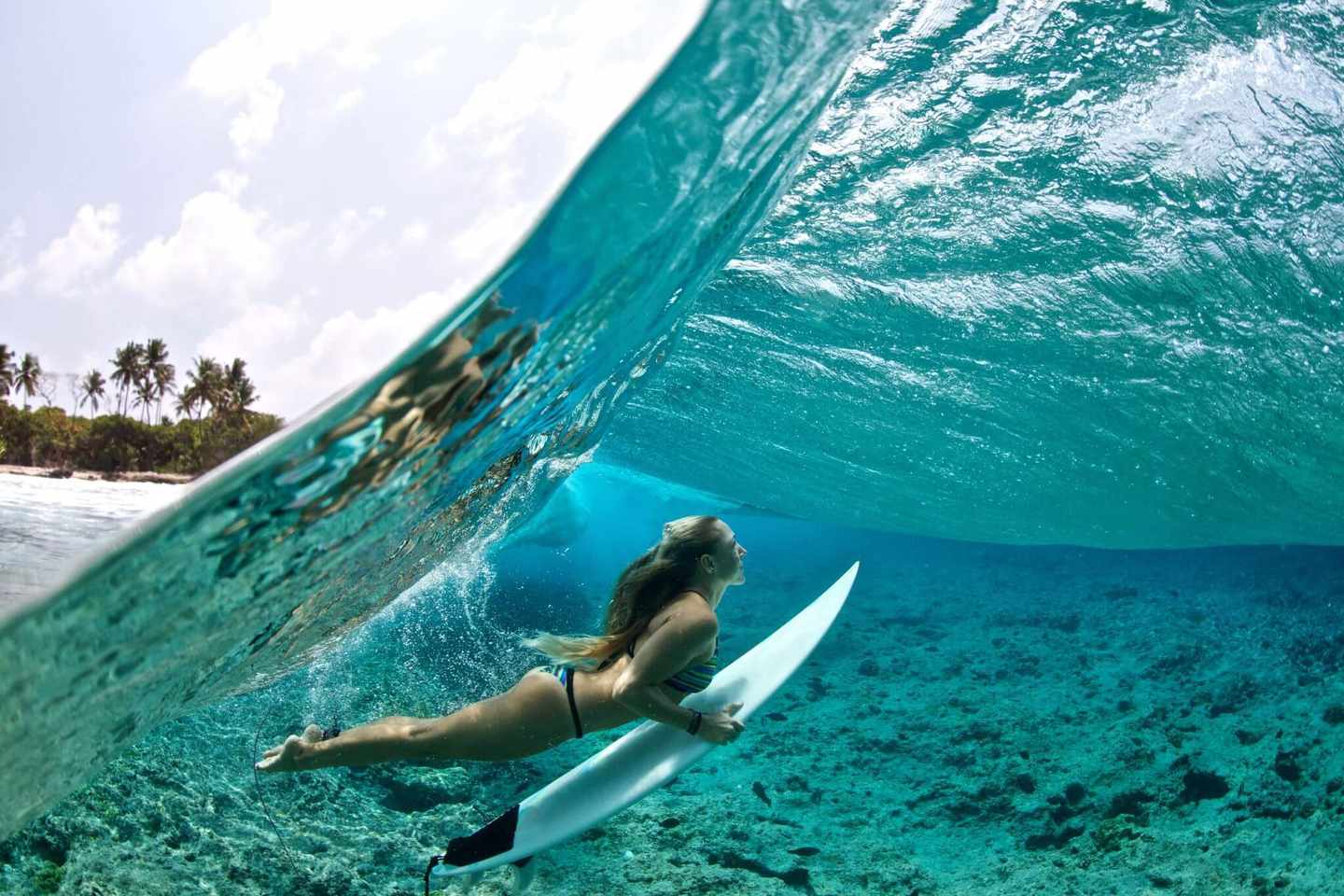 mauritius-vs-malediven-sport-surfing-g-488914826.jpg