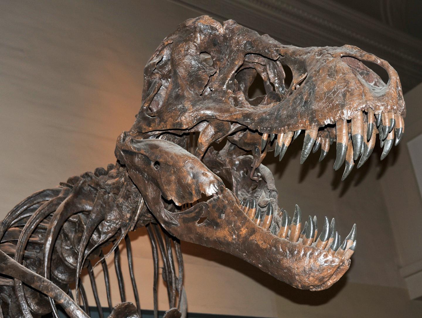 usa-los-angeles-sehenswuerdigkeiten-rex-g-173565410.jpg