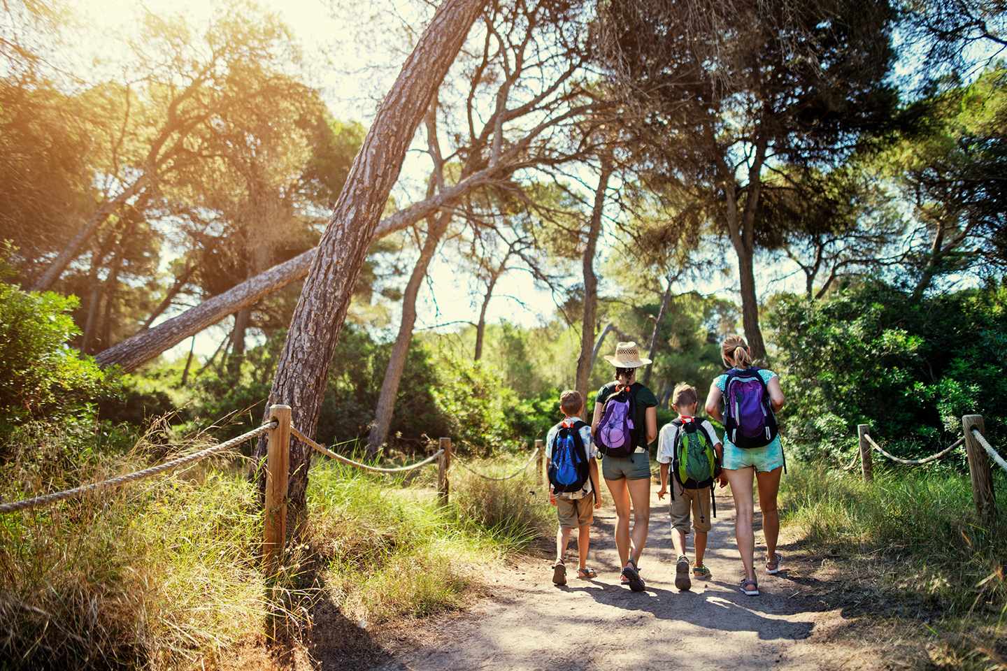mallorca-wandern-aktivurlaub-familie-g-1137553611.jpg