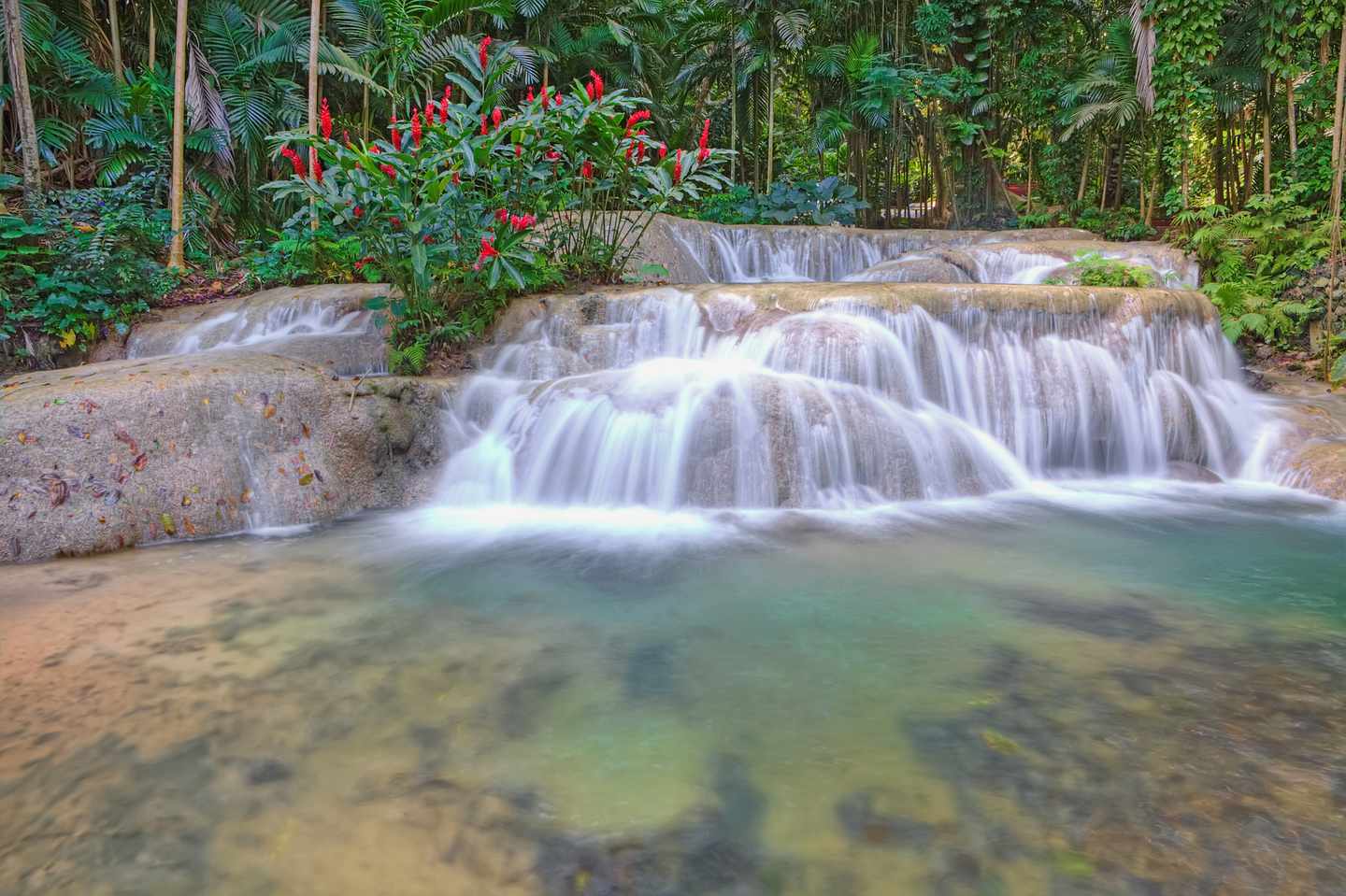 jamaika-landschaft-tropisch-mit-wasserfall-g-176875783.jpg