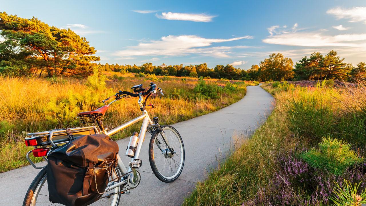 blt47be13e1d8b5ef32-noord-brabant-niederlande-veluwe-nationalpark-fahrrad-radtour-t-603284998.jpg noord-brabant-niederlande-veluwe-nationalpark-fahrrad-radtour-t-603284998.jpg