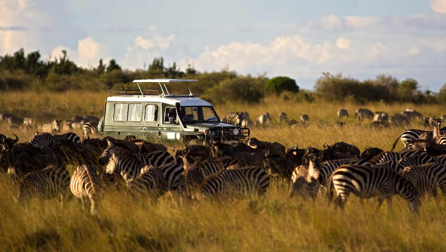 kenia-safarifahrzeug-zebras-gnus-g-174790216.jpg