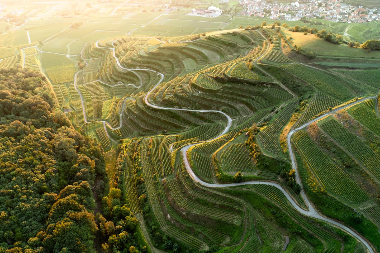 blt6a4a336e87537336-deutschland-baden-kaiserstuhl-long.jpg deutschland-baden-kaiserstuhl-long.jpg
