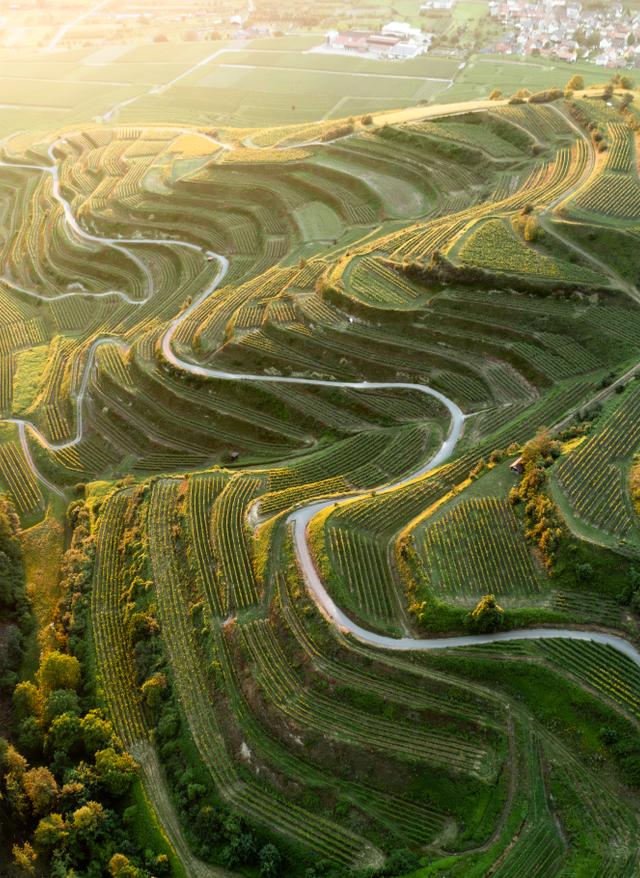 Weinregionen in Deutschland deutschland-baden-kaiserstuhl-long.jpg