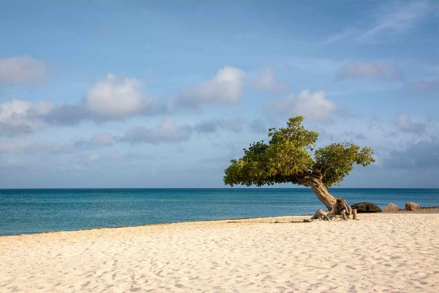 karibik-aruba-eagle-beach-g-810449706.jpg