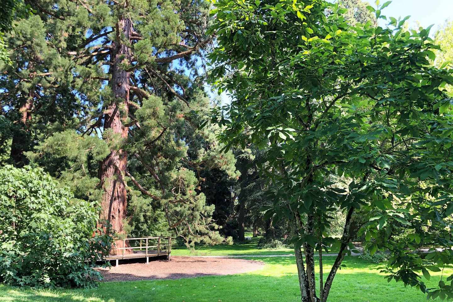 deutschland-bodensee-die-drei-schoensten-inseln-landschaft-des-arboretums-g-1174775165.jpg