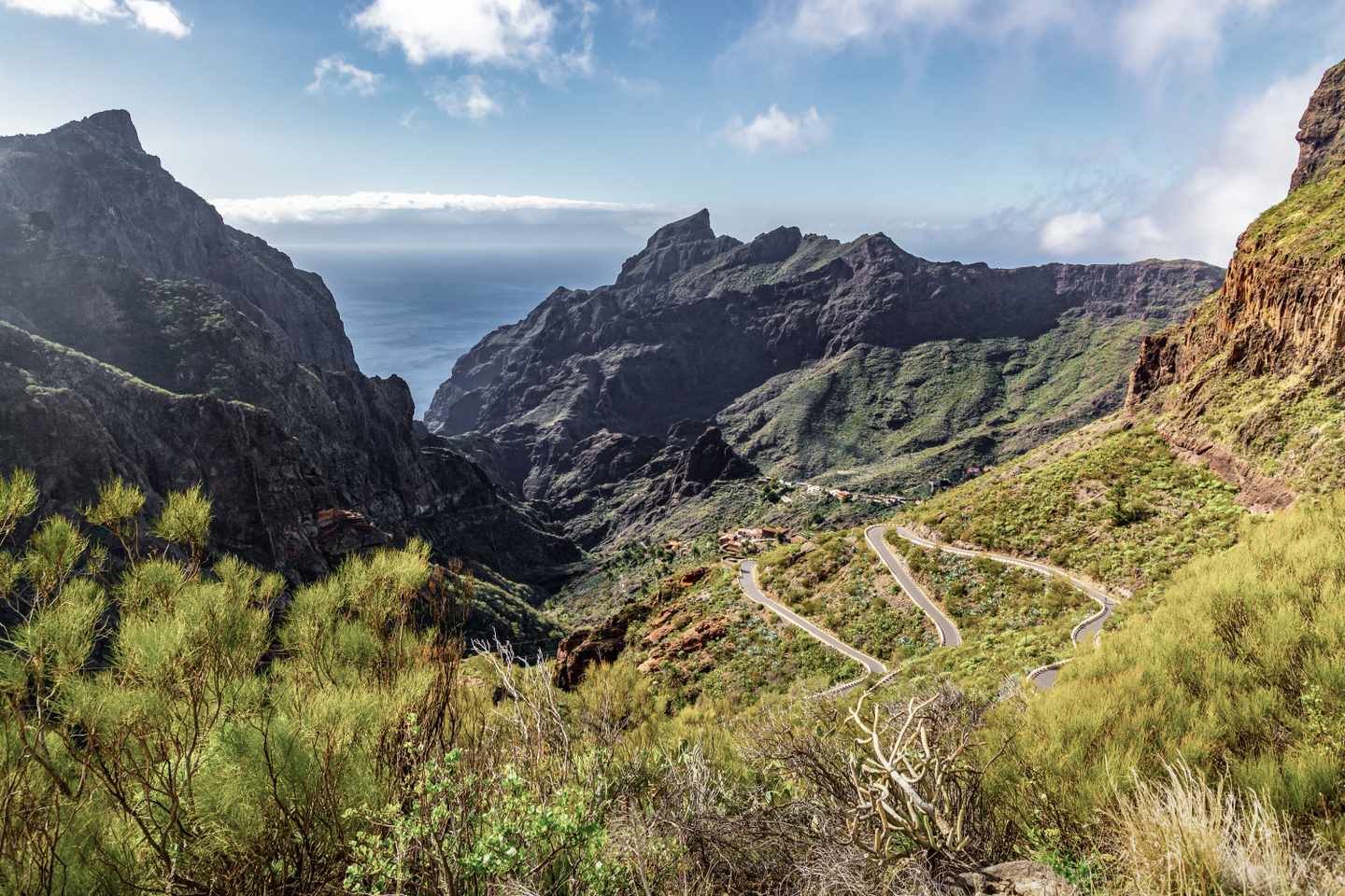 kanaren-teneriffa-masca-schlucht-wandern-g1215206463.jpg