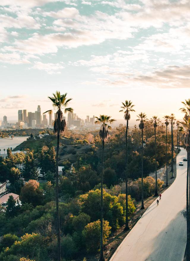 Los Angeles Sehenswürdigkeiten usa-kalifornien-sehenswuerdigkeiten-los-angeles-palmengesaumte-straße-mit-blick-auf-los-angeles-bei_Sonnenuntergang-g-1363277938.jpg