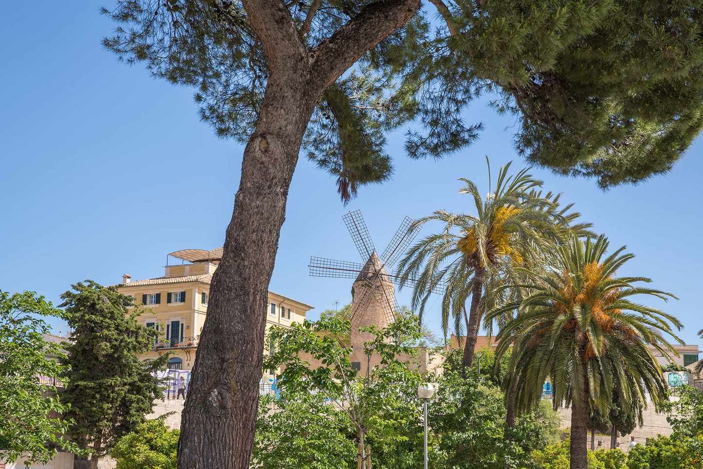 spanien-mallorca-palma-de-mallorca-sehensweurdigkeiten-blick-in-die-altstadt-von-palma-g-981581312.jpg
