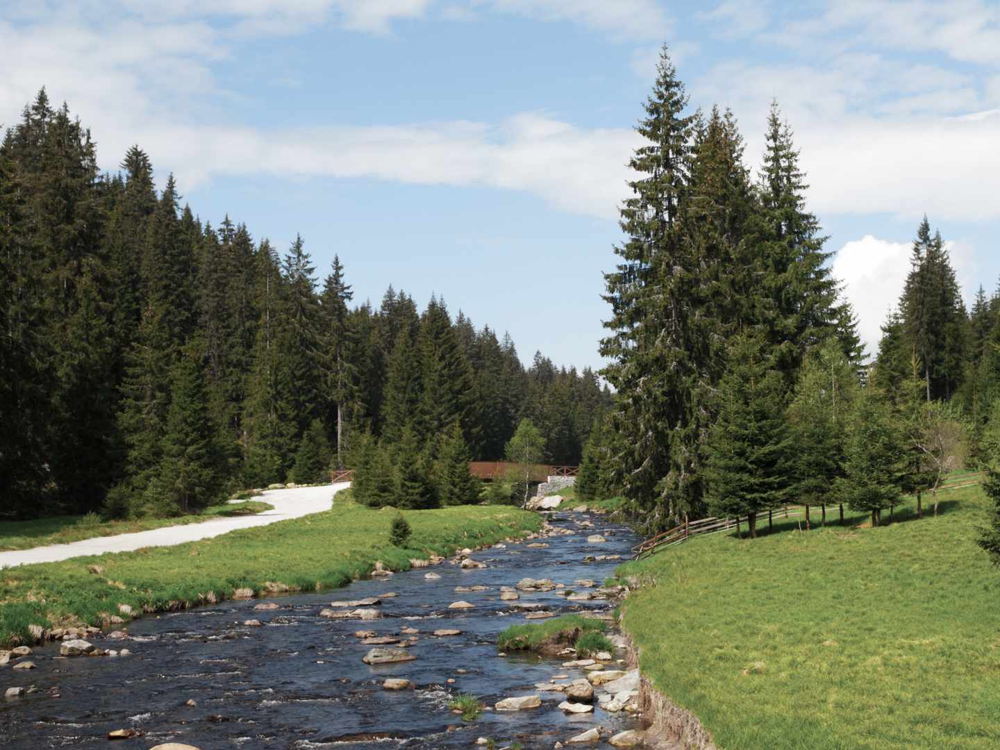 tschechien-sumava-nationalpark-mut-fluss-und-tannen-g-538030690_bearbeitet.jpg