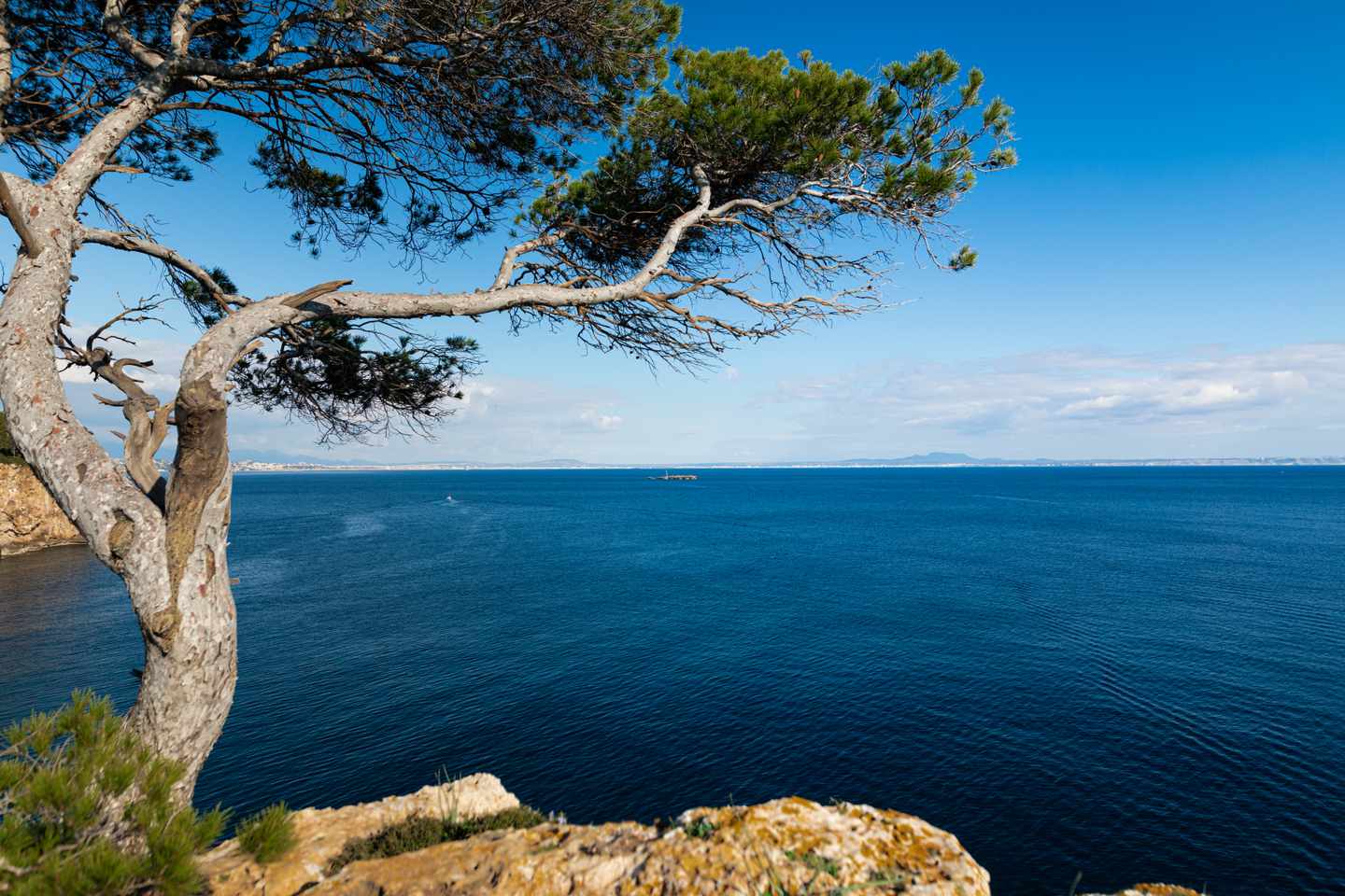 spanien-mallorca-bucht-g-1382355260.jpg