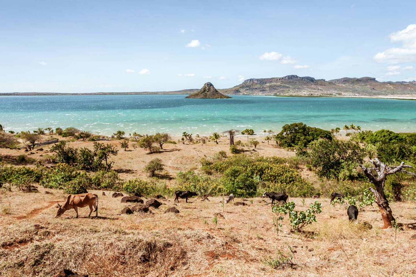 blt8fa446f4ff50bc74-Ostafrika-Madagaskar-Antsiranana-Bay-g-852900196.jpg Ostafrika-Madagaskar-Antsiranana-Bay-g-852900196.jpg