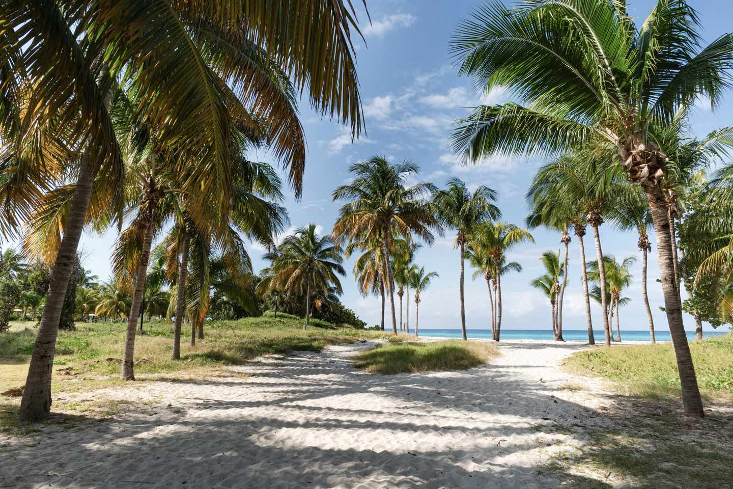 karibik-kuba-varadero-g-1200967223.jpg