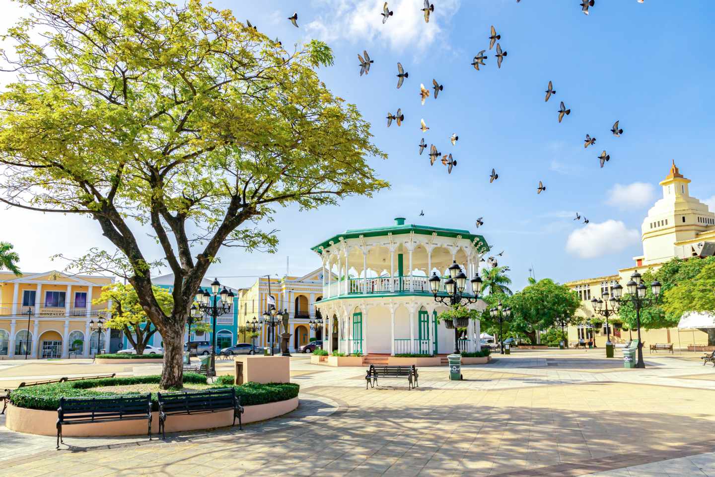 dominikanische-republik-puerto-plata-central-park-g-1333654937.jpg Fliegende Vögel am Himmel des Central Park in Puerto Plata