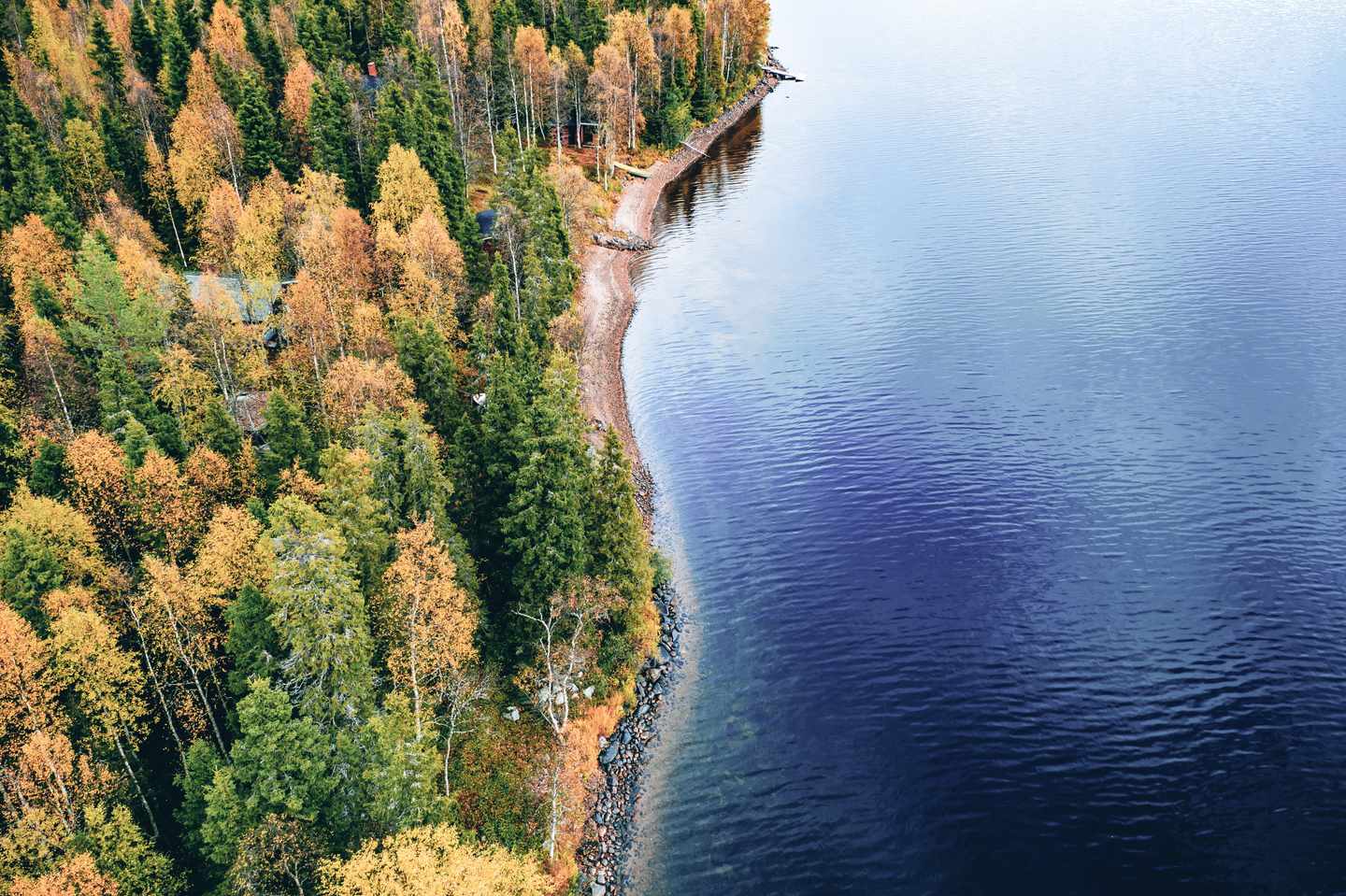 finnland-luftaufnahme-des-herbstwaldes-am-see-g-1339022146.jpg