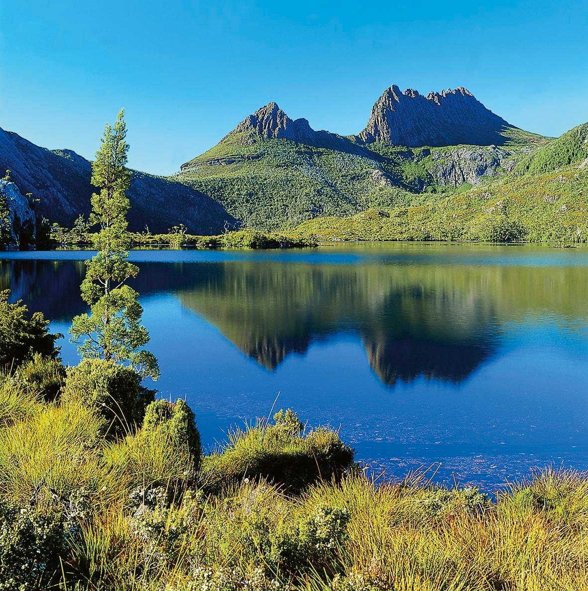 tasmanien-cradle-mountain-p-a12201.jpg