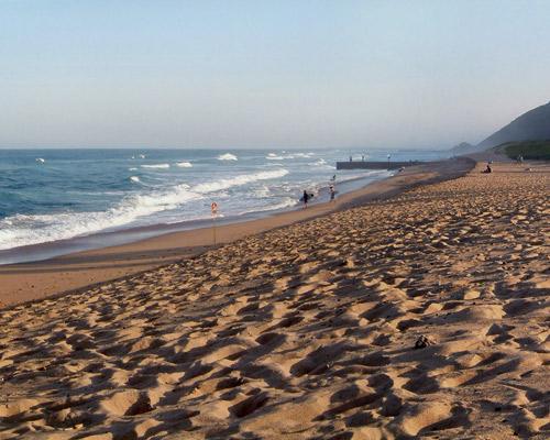 Durban bis Ballito: Safari und Delfinküste