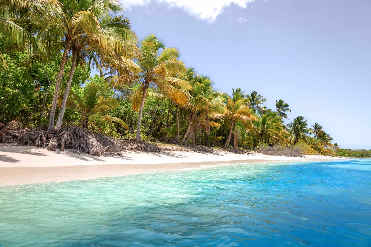 karibik-dominikanische_republik-saona_island-g-1475962665.jpg