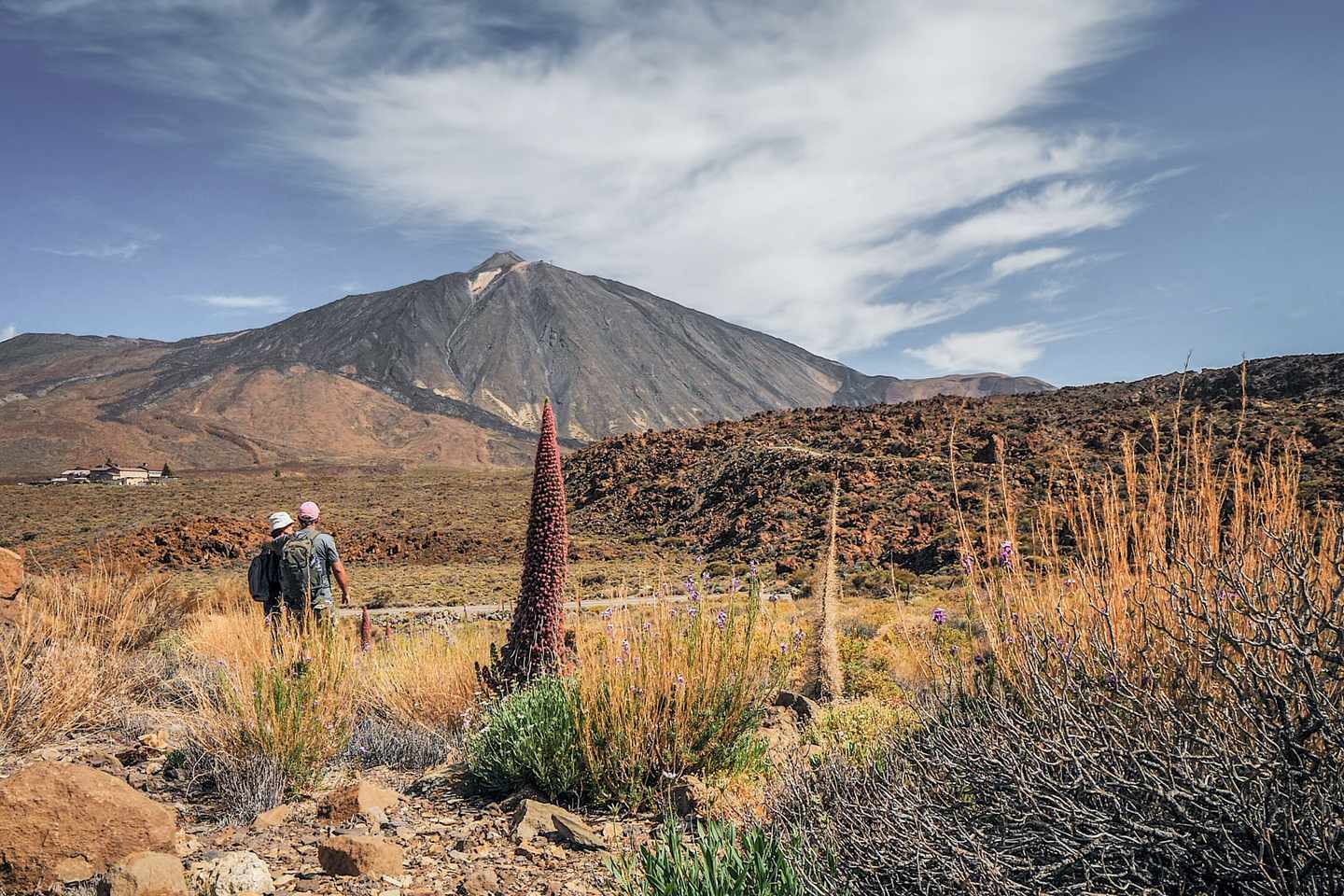 kanaren-teneriffa-teide-wandern-g-1250388458.jpg.jpg