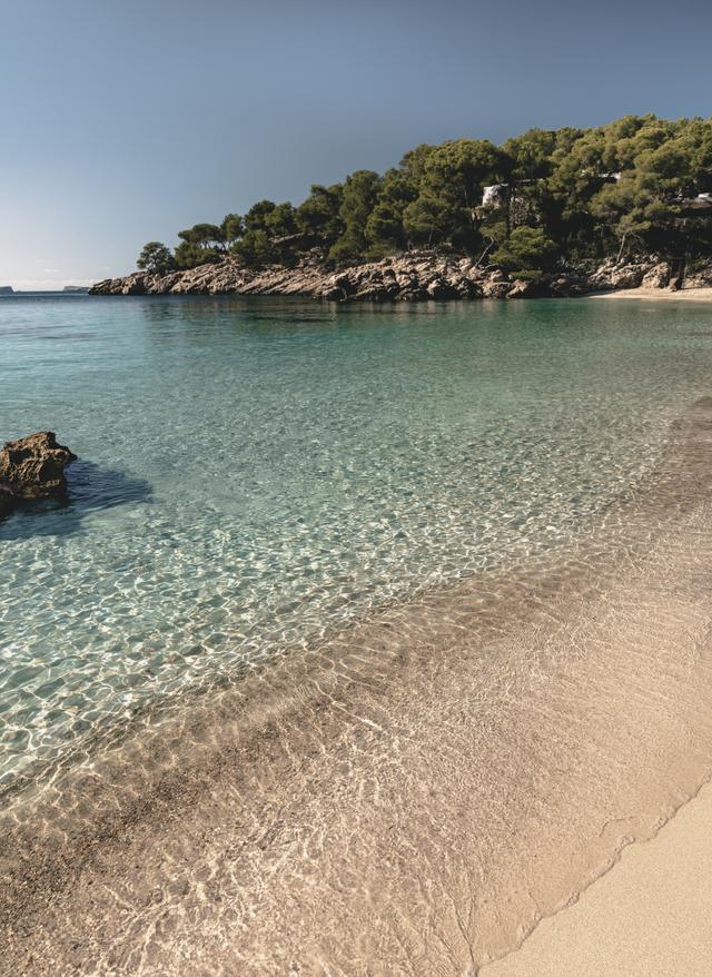 Ibiza Urlaub spanien-ibiza-cala-saladeta-strand-g-1292899986.jpg