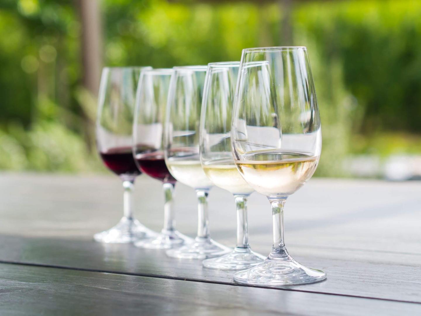suedafrika-wein-g-517080556.jpg