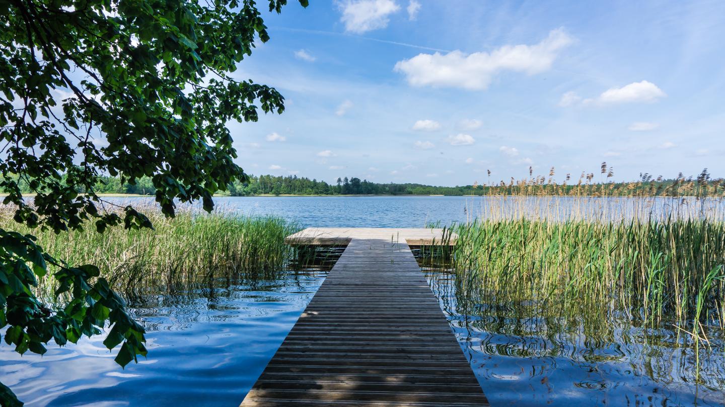 deutschland-meck-pom-seenplatte-holzsteg-krakower-see-g-1212560912.jpg