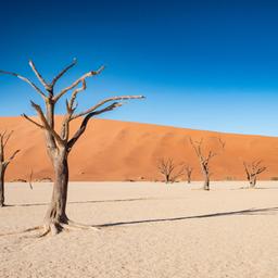 namibia-deadvlei-sossusvlei-g-2062868942.jpg