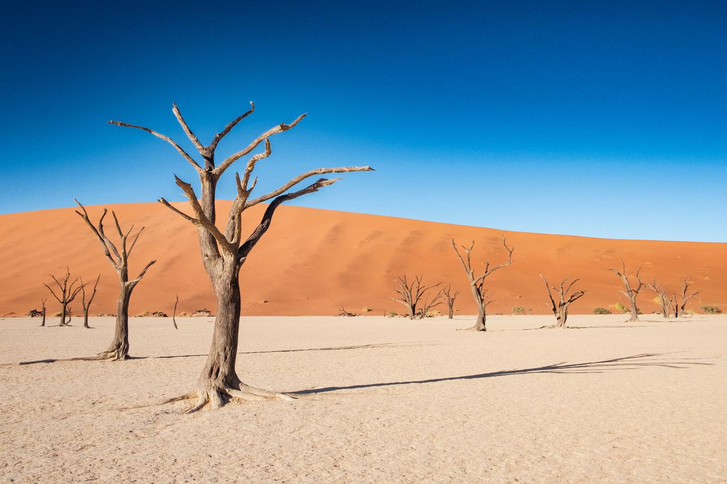 namibia-deadvlei-sossusvlei-g-2062868942.jpg