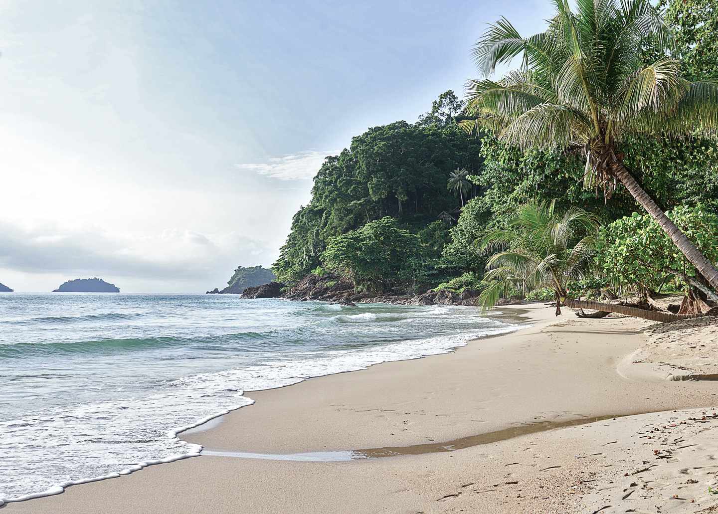 thailand-koh-chang-strand-mit-palmen-g-1814355754_bearbeitet.jpg