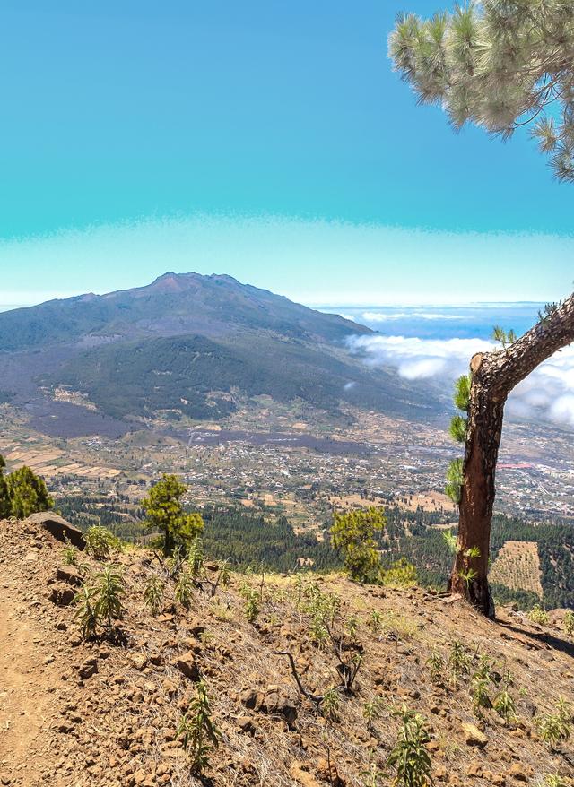 La Palma für Aktive