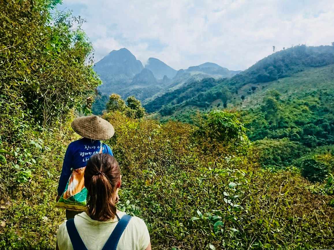 laos_bergwelt.jpeg