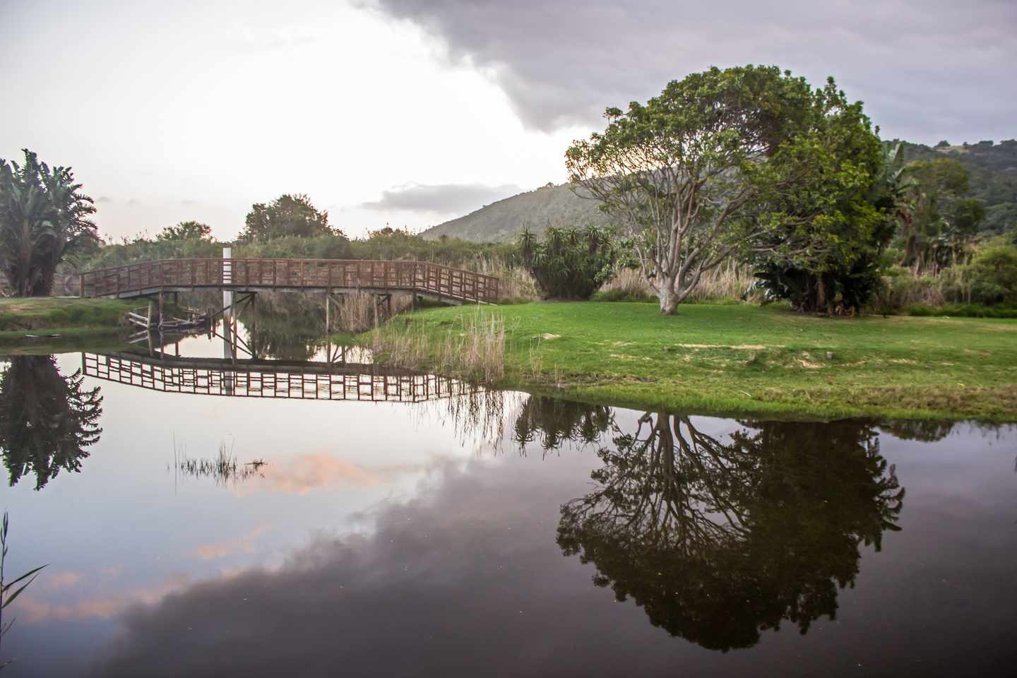 suedafrika-garden-route-nationalpark-g-1502451666.jpg