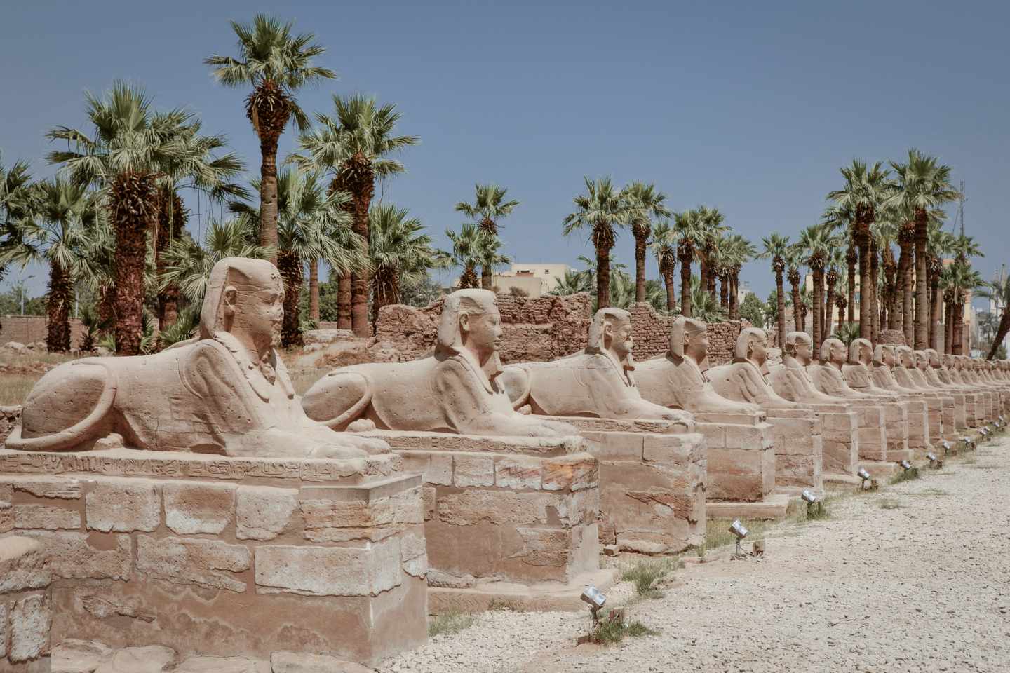 aegypten-luxor-tempel-sphinx-g471239861.jpg