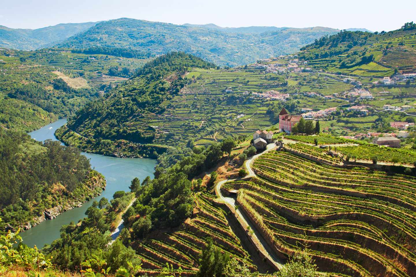 Terrassenförmige Weinberge am Douro mit Flussschleife, Hängen und Quinta im portugiesischen Dourotal