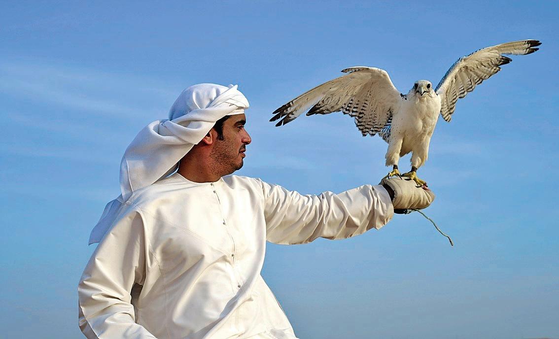 vereinigte-arabische-emirate-Emirat-ajman-p-V30148.jpg