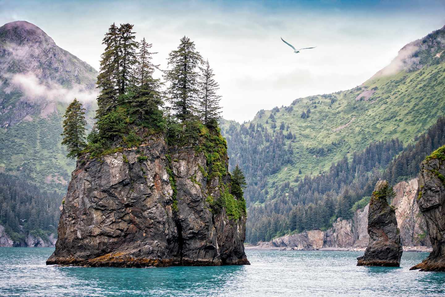 usa-alaska-kenai-fjords-nationalpark-t-495017074.jpg