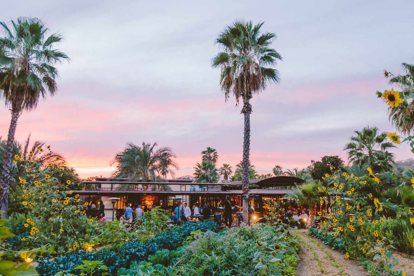 mexiko-los-cabos-farm-to_-table-restaurant-p.jpg