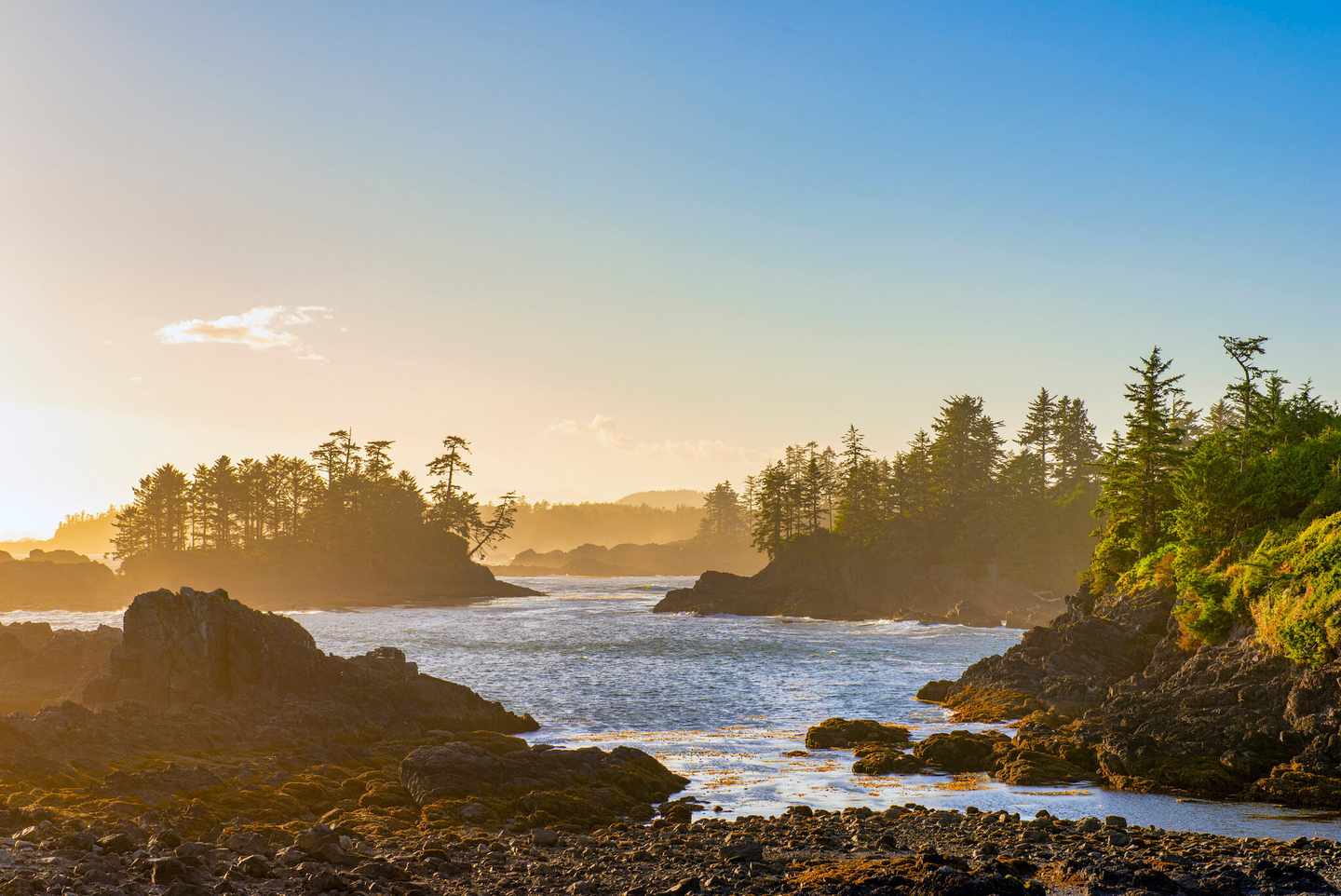 kanada-british-columbia-vancouver-island-ucluelet-wild-pacific-trail-g-1017486878.jpg