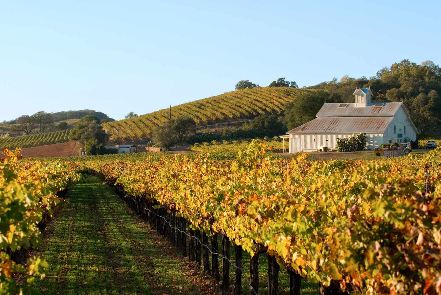 usa-kalifornien-weingut-herbst-g-172418053.jpg