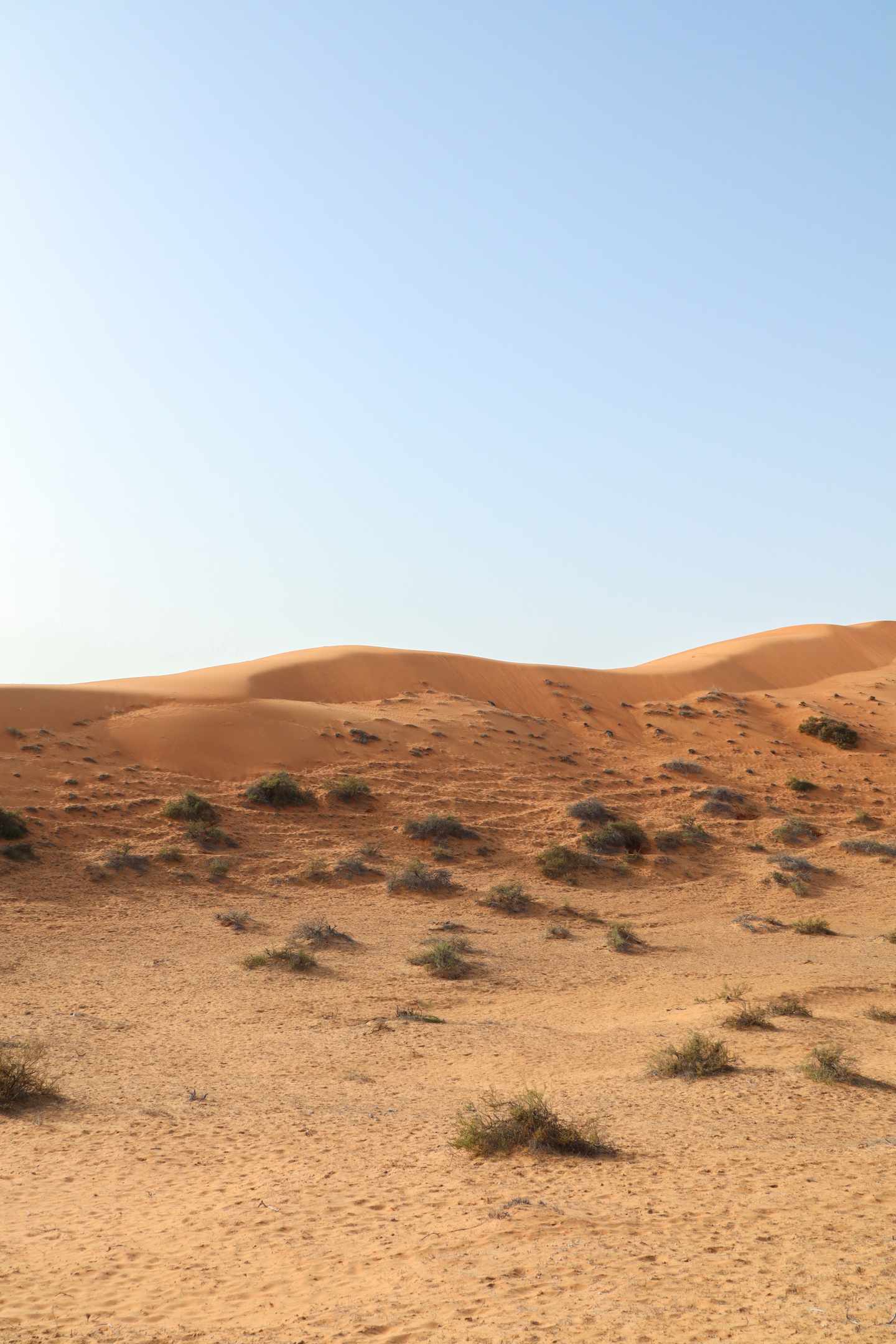 bltbf854a81c9054766-vae-ras-al-al-khaimah-g-1715583133.jpg RAK