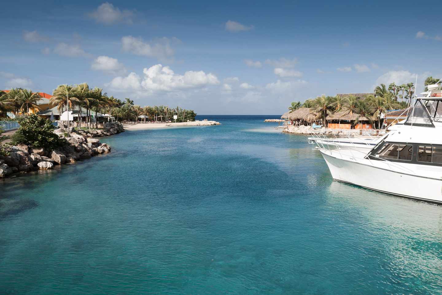 karibik-curacao-strand-mambo-g637586404.jpg